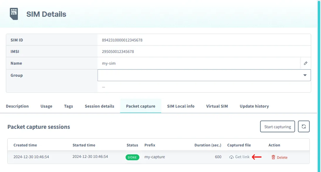 Download packet capture file